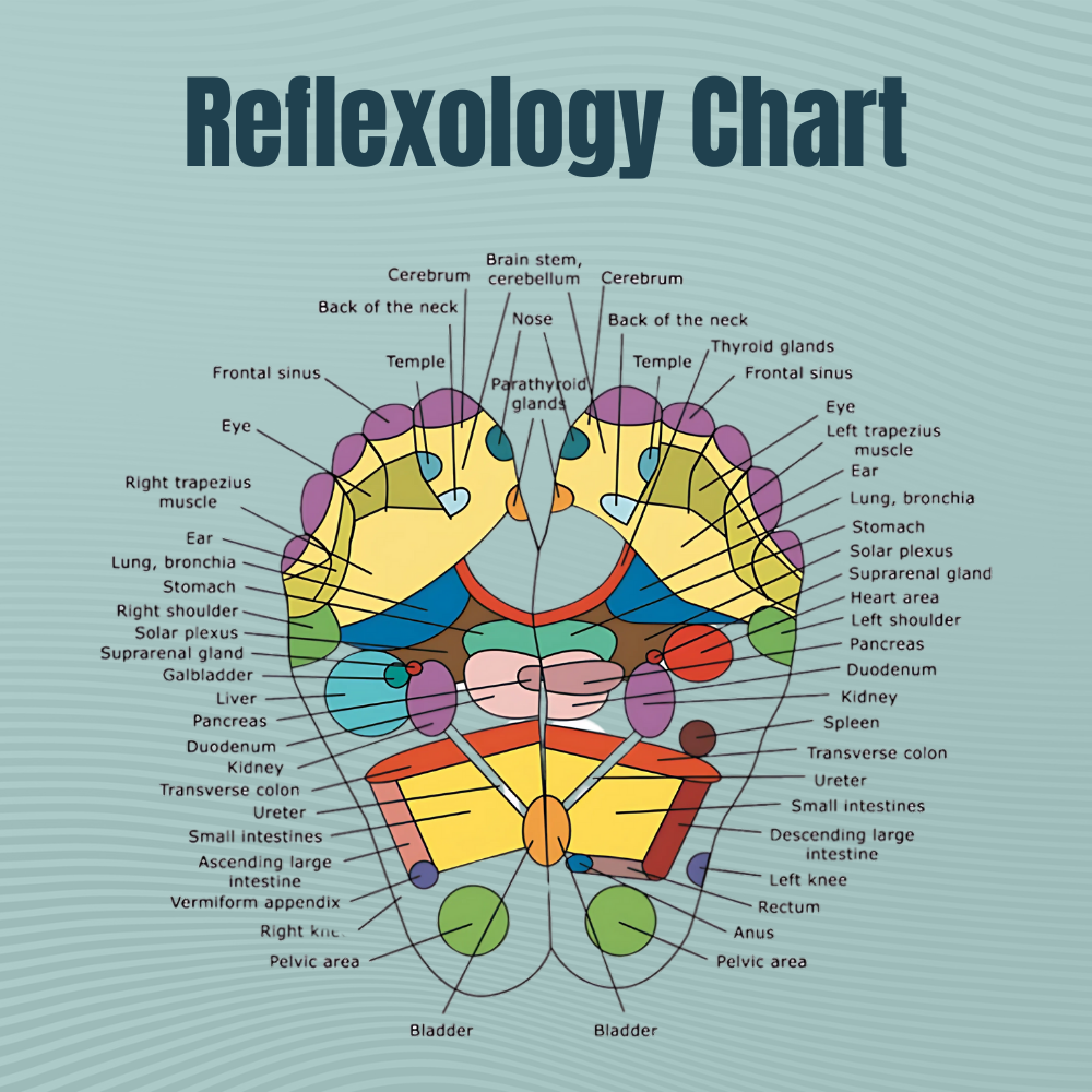 Blinqo ReflexTherapy Socks